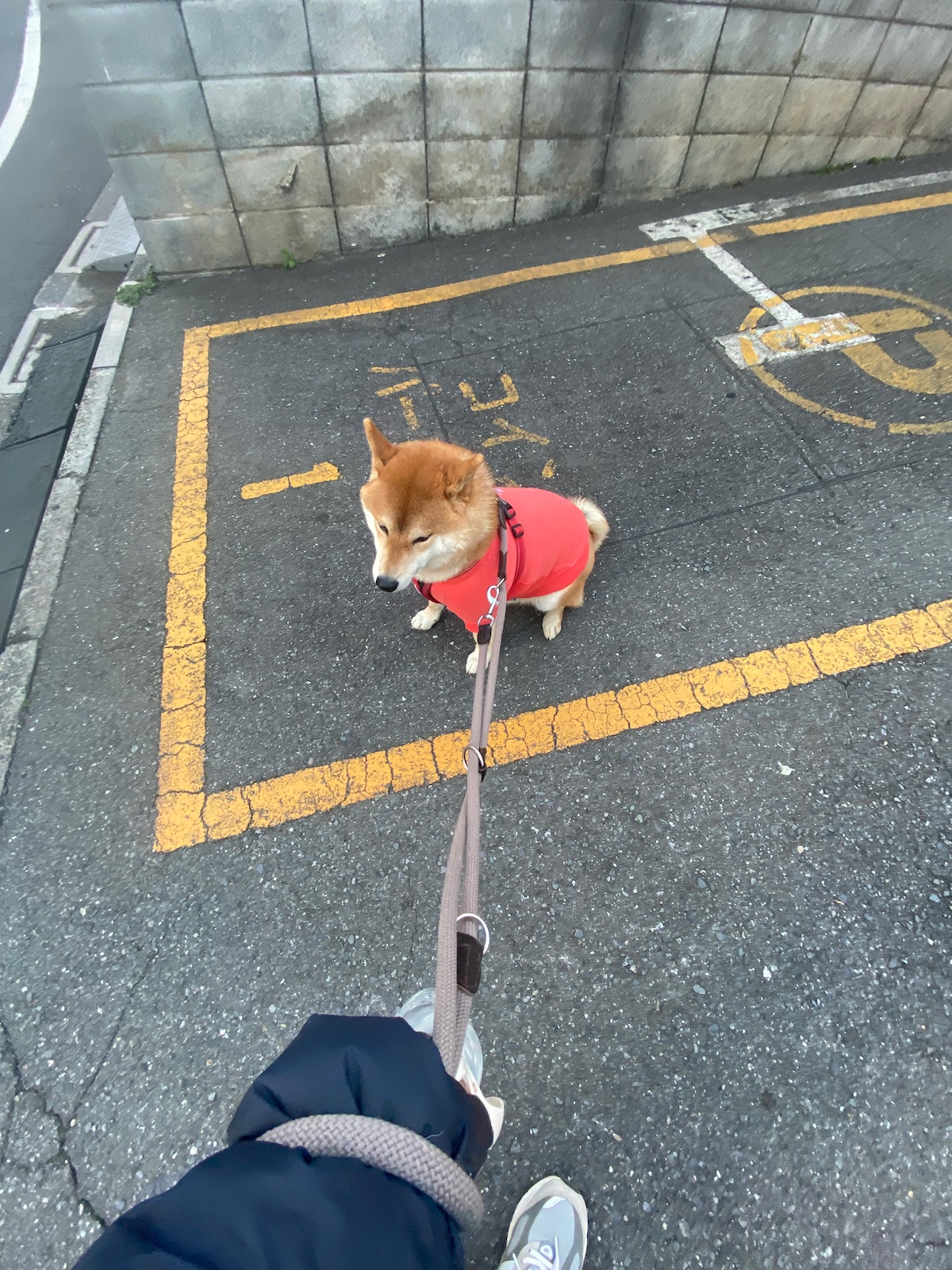 早朝割引にて、ぼくもパーキング中です。