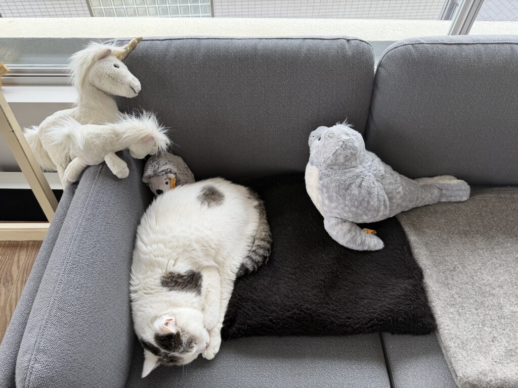 チョビと仲間たち。文筆家・麻生要一郎のねことの暮らし #2