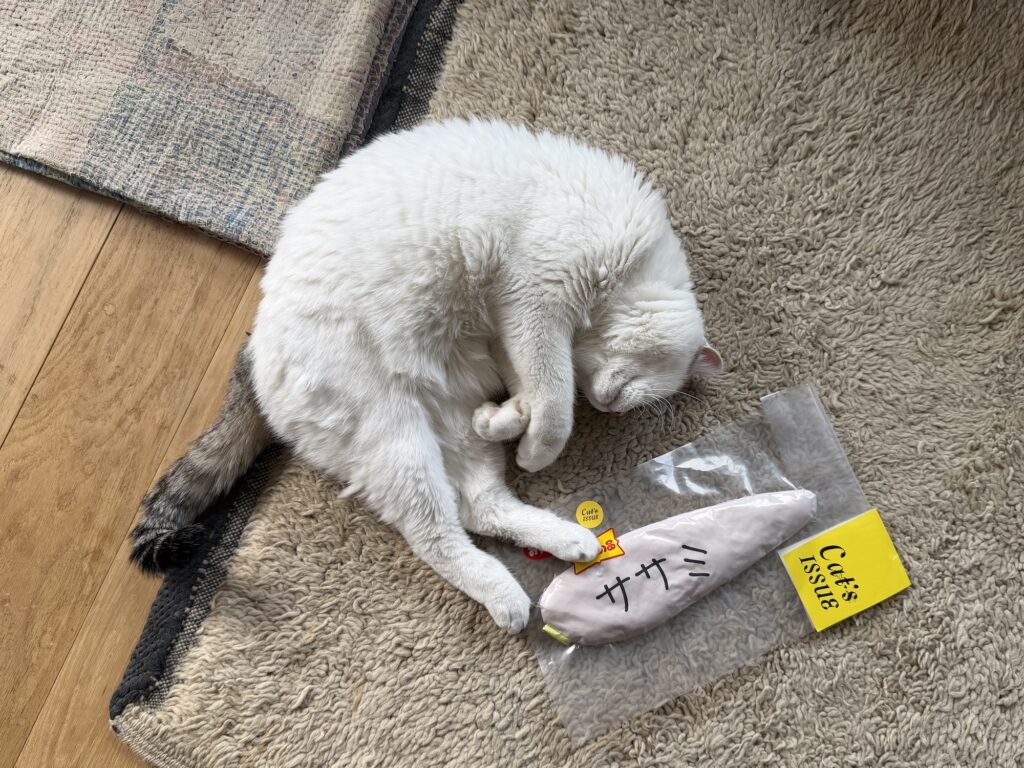 やっぱり、ねこになりたい。文筆家・麻生要一郎のねことの暮らし #3