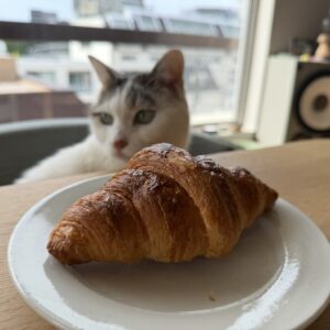 チョビとの朝食。文筆家・麻生要一郎のねことの暮らし #4