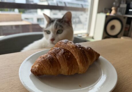 チョビとの朝食。文筆家・麻生要一郎のねことの暮らし #4