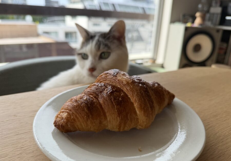 チョビとの朝食。文筆家・麻生要一郎のねことの暮らし #4