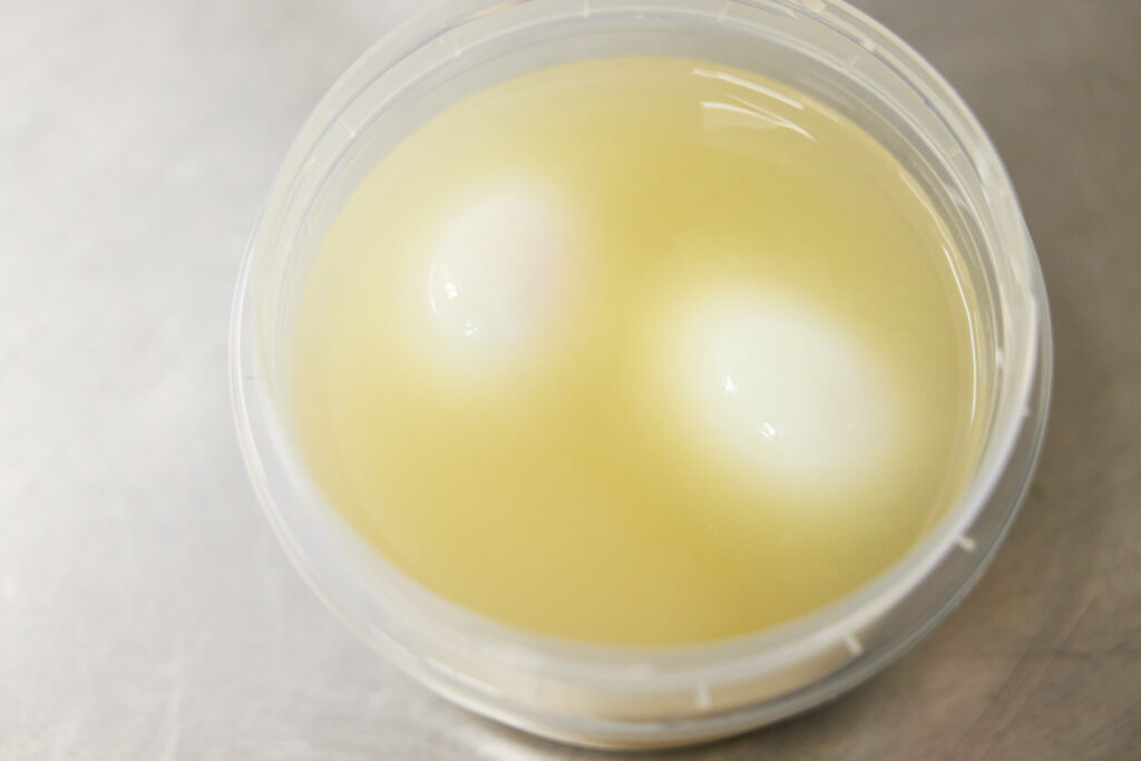 11 柚子ポテトサラダ & 塩麹半熟たまご/おべんと屋さん〈75foods〉吉森なな子のレシピ帖 #8 | こんな感じで漬けておくだけでOK。 11 柚子ポテトサラダ & 塩麹半熟たまご/おべんと屋さん〈75foods〉吉森なな子のレシピ帖 #8 | こんな感じで漬けておくだけでOK。