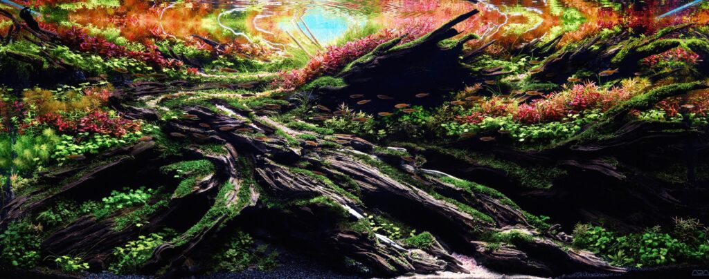 「第25回世界水草レイアウトコンテスト」 (IAPLC2025) にて、世界ランキング3位を受賞 した著者の作品。 | 「第25回世界水草レイアウトコンテスト」(IAPLC2025)にて、世界ランキング3位を受賞
した著者の作品。画像提供:アクアデザインアマノ 「第25回世界水草レイアウトコンテスト」 (IAPLC2025) にて、世界ランキング3位を受賞 した著者の作品。