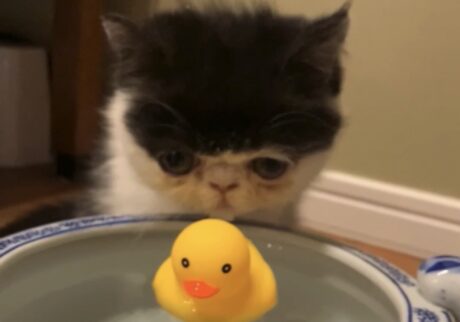 水を飲むのは得意なのよ！【ちろり、スターへの道のり。vol.12】