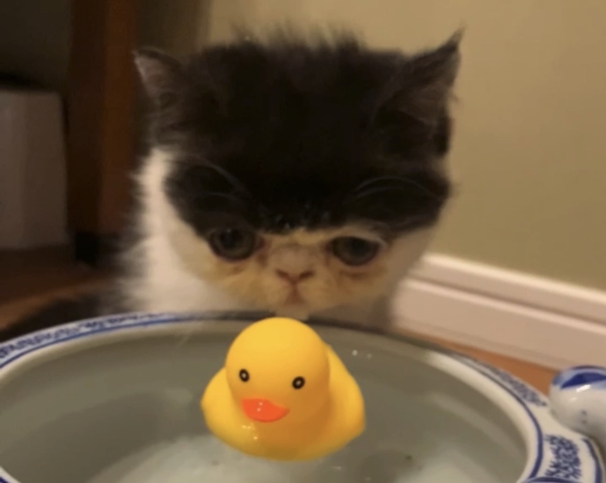 水を飲むのは得意なのよ！【ちろり、スターへの道のり。vol.12】