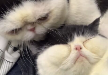 あたしの安心する場所。【ちろり、スターへの道のり。vol.21】