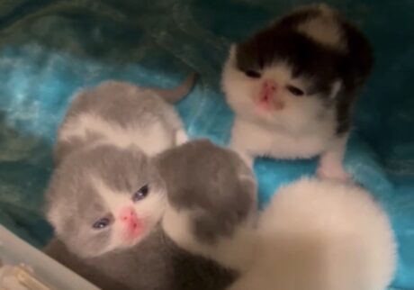 バブバブ期のあたし。【ちろり、スターへの道のり。vol.2】