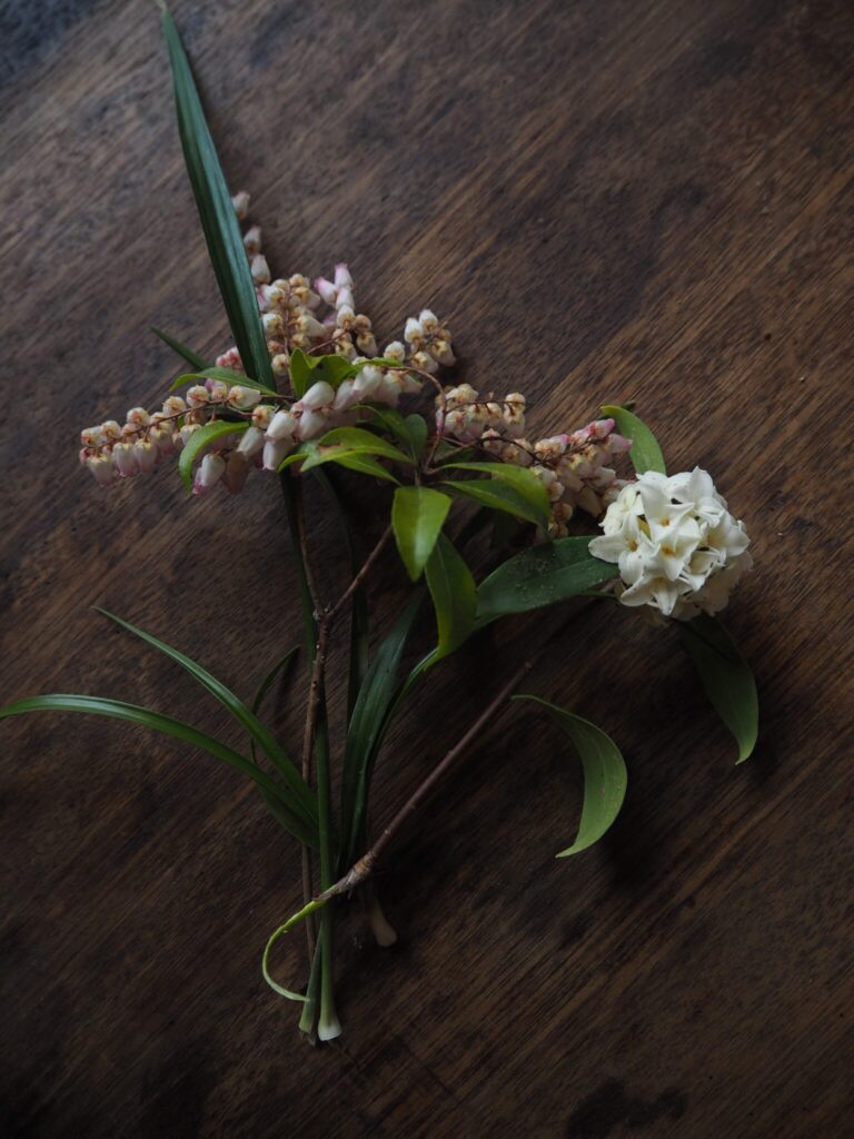 厚焼き玉子と蓮根の青のり和え。ご褒美の日のためのお弁当。写真と文:仁平里帆 (『からだと心整う台所ごよみ365日』著者) #4ほんのりピンクに色づいた、庭の馬酔木 (アセビ) 。そのとなりは沈丁花。 | ほんのりピンクに色づいた、庭の馬酔木(アセビ)。そのとなりは沈丁花。 厚焼き玉子と蓮根の青のり和え。ご褒美の日のためのお弁当。写真と文:仁平里帆 (『からだと心整う台所ごよみ365日』著者) #4ほんのりピンクに色づいた、庭の馬酔木 (アセビ) 。そのとなりは沈丁花。