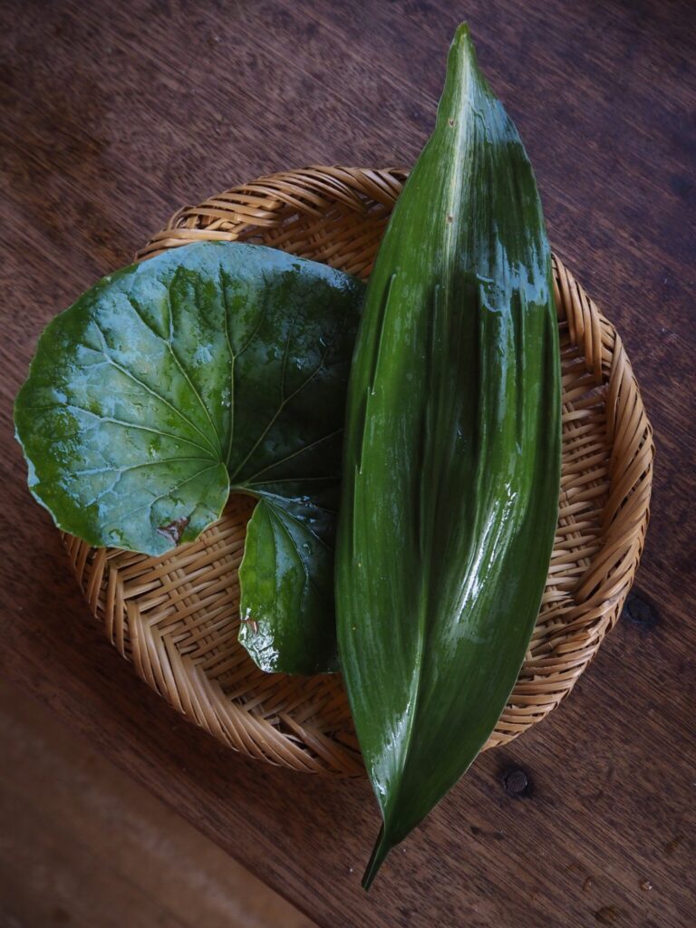 厚焼き玉子と蓮根の青のり和え。ご褒美の日のためのお弁当。写真と文:仁平里帆 (『からだと心整う台所ごよみ365日』著者) #4左から、庭から摘んだ石蕗 (ツワブキ) と葉蘭。 | 左から、庭から摘んだ石蕗(ツワブキ)と葉蘭。 厚焼き玉子と蓮根の青のり和え。ご褒美の日のためのお弁当。写真と文:仁平里帆 (『からだと心整う台所ごよみ365日』著者) #4左から、庭から摘んだ石蕗 (ツワブキ) と葉蘭。