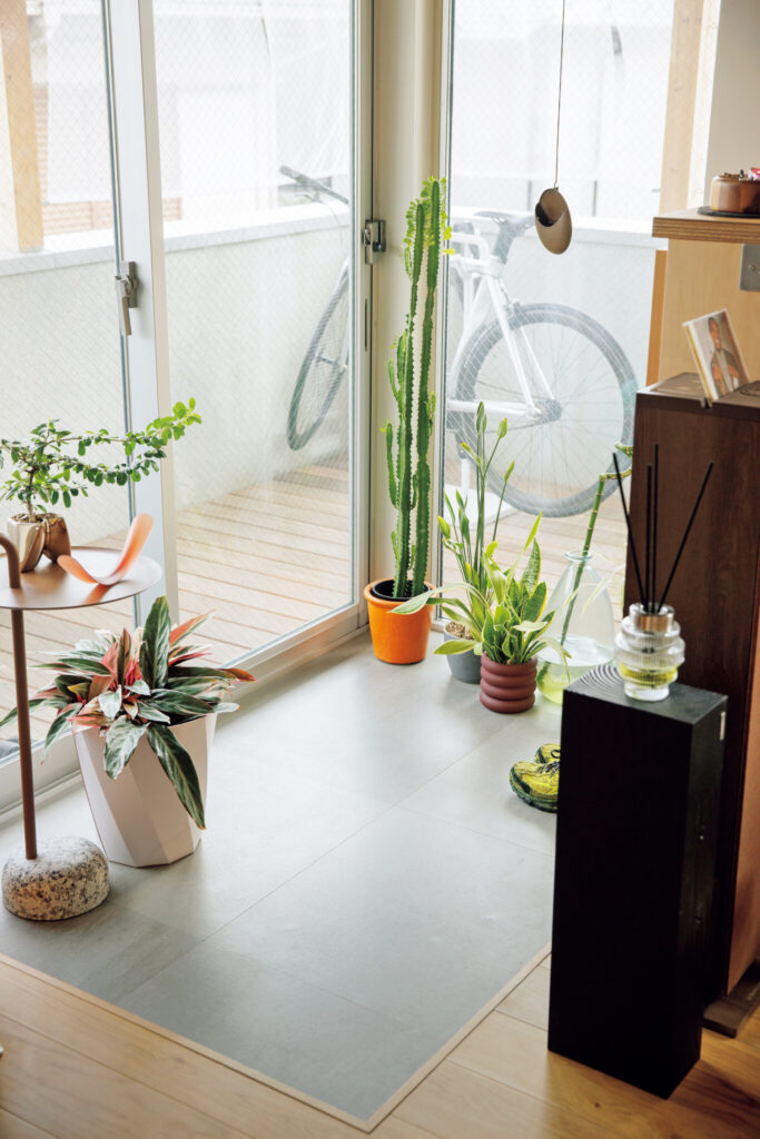 居所によって、眺めが変わる楽しみを。50平米のふたり暮らし。明るく開放的なガラス窓の玄関。風通しも確保できる。葉形がユニークな植物を取り揃えてさりげなく空間を飾った。 | 明るく開放的なガラス窓の玄関。風通しも確保できる。葉形がユニークな植物を取り揃えてさりげなく空間を飾った。