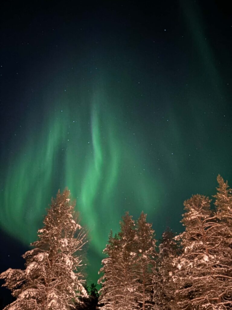 観測条件が揃えばオーロラを堪能できる。流れるように形を変えるオーロラは、まるで空そのものが生きているかのように見える。