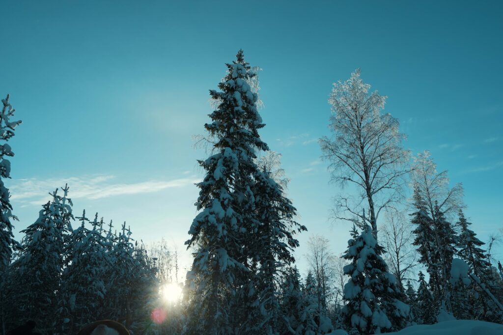 この地域では、先住民族サーミの人々が古くからトナカイと共に暮らしてきた。