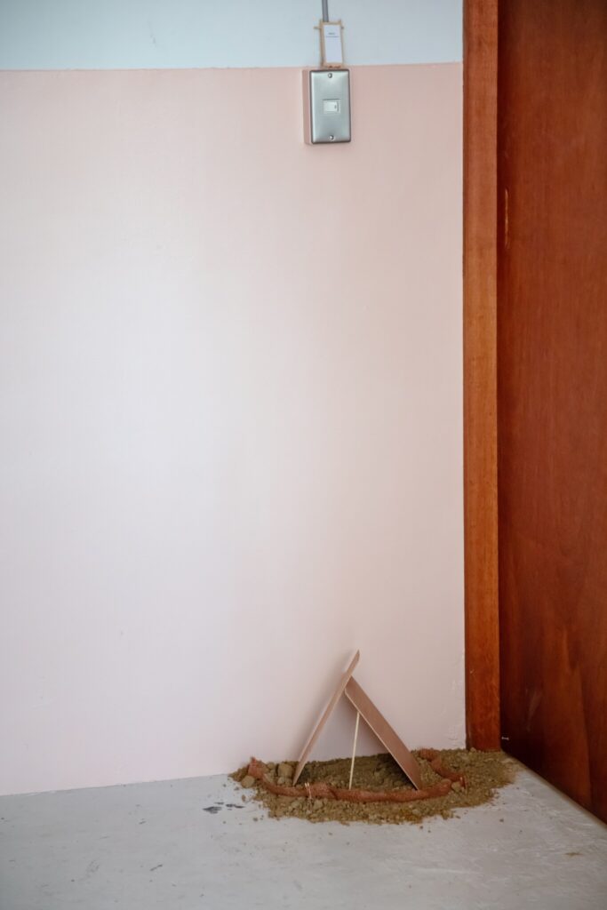 photo：濱田晋銀杏の木に「ひっかかってしまって」いた、白いドクロの行方。写真と文：浅見旬 (編集者、ライター) #3 | photo：濱田晋