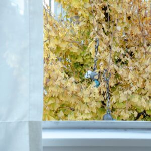 作品名は「Attack globe’s」。銀杏の黄色に白いドクロが映えた。 photo：濱田晋銀杏の木に「ひっかかってしまって」いた、白いドクロの行方。写真と文：浅見旬 (編集者、ライター) #3 | 作品名は「Attack globe's」。銀杏の黄色に白いドクロが映えた。 photo：濱田晋