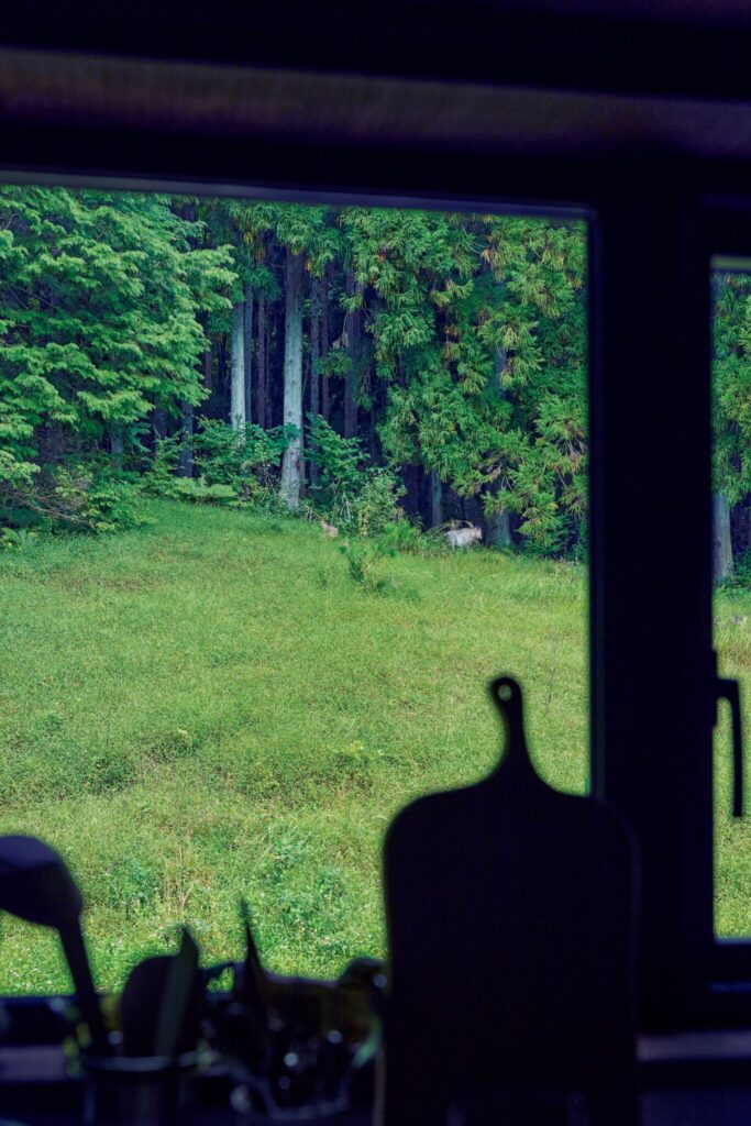 森をのぞむ台所。移ろう景色が家事の支えに。台所の大きな窓の先に森が広がる。「この緑を見ているだけで心が休まる」と田原奈緒美さん。この日は、右奥に特別天然記念物のニホンカモシカが姿を現した。145_p042-045_田原邸_01 | 台所の大きな窓の先に森が広がる。「この緑を見ているだけで心が休まる」と田原奈緒美さん。この日は、右奥に特別天然記念物のニホンカモシカが姿を現した。 森をのぞむ台所。移ろう景色が家事の支えに。台所の大きな窓の先に森が広がる。「この緑を見ているだけで心が休まる」と田原奈緒美さん。この日は、右奥に特別天然記念物のニホンカモシカが姿を現した。145_p042-045_田原邸_01 | 台所の大きな窓の先に森が広がる。「この緑を見ているだけで心が休まる」と田原奈緒美さん。この日は、右奥に特別天然記念物のニホンカモシカが姿を現した。