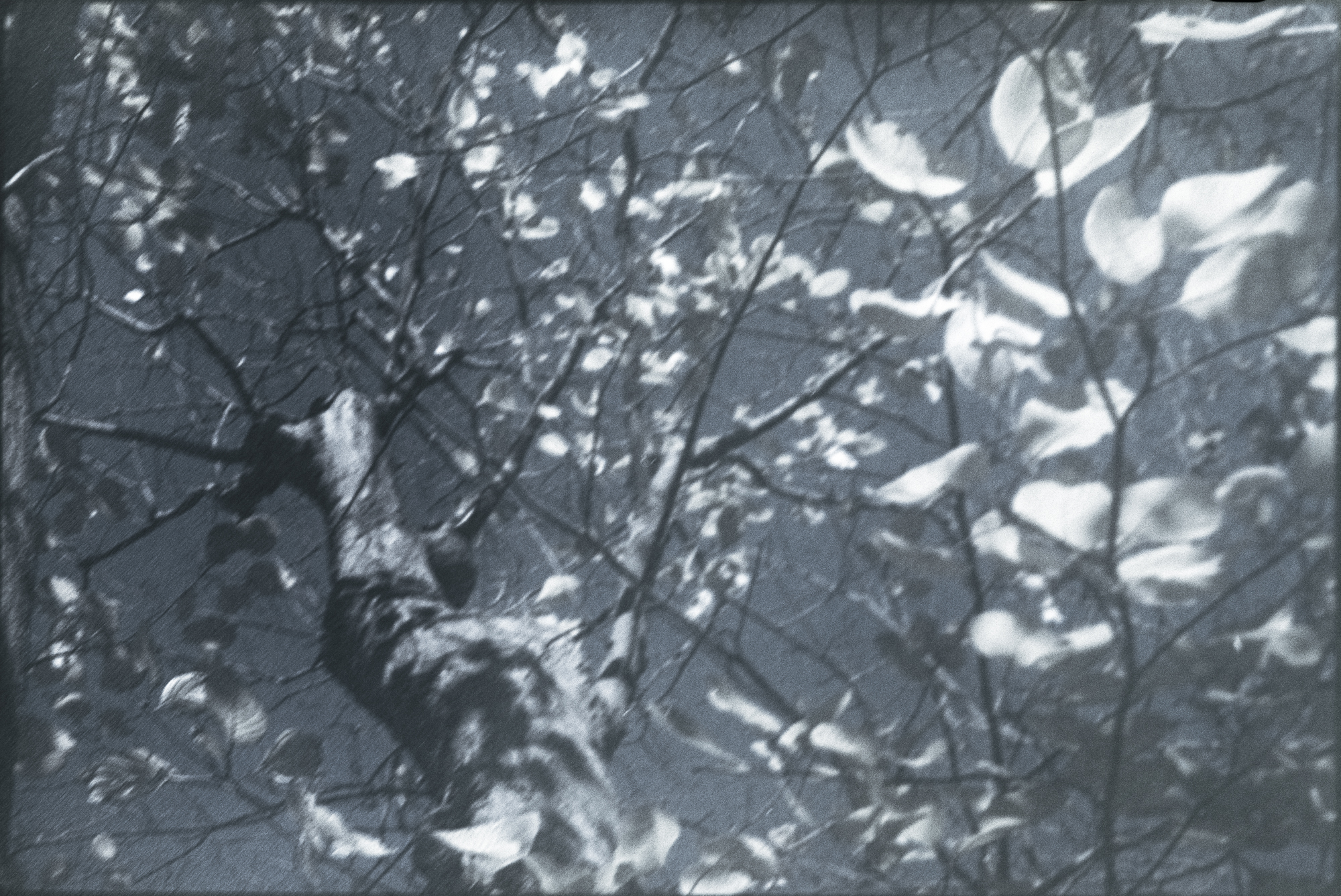 今月の写真家、今日の一枚。原田 真治 vol.1