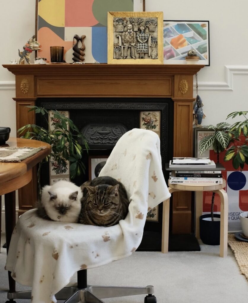 読者の皆さんから。「だって、ねこだもん」。クッキー・パフィー 読者の皆さんから。「だって、ねこだもん」。クッキー・パフィー