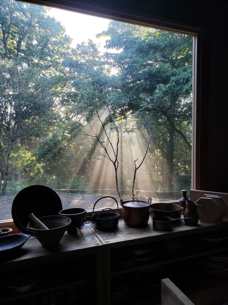 木々の間から朝陽が差し込んでいる様子が台所から観察できる。最後までおいしく使い切る。出汁がらを使った、混ぜごはんと肉そぼろ弁当。写真と文：仁平里帆