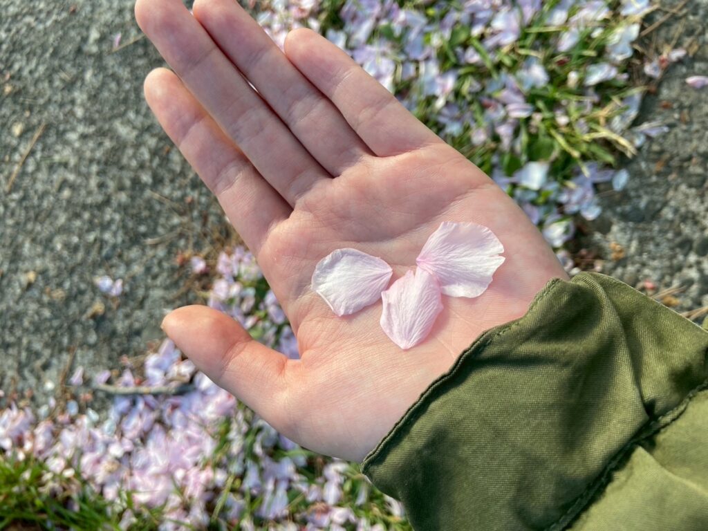思いつき、ひとり旅。私の春を始めるために、秋田を歩く。 写真と文:祷キララ (女優) #1 思いつき、ひとり旅。私の春を始めるために、秋田を歩く。 写真と文:祷キララ (女優) #1