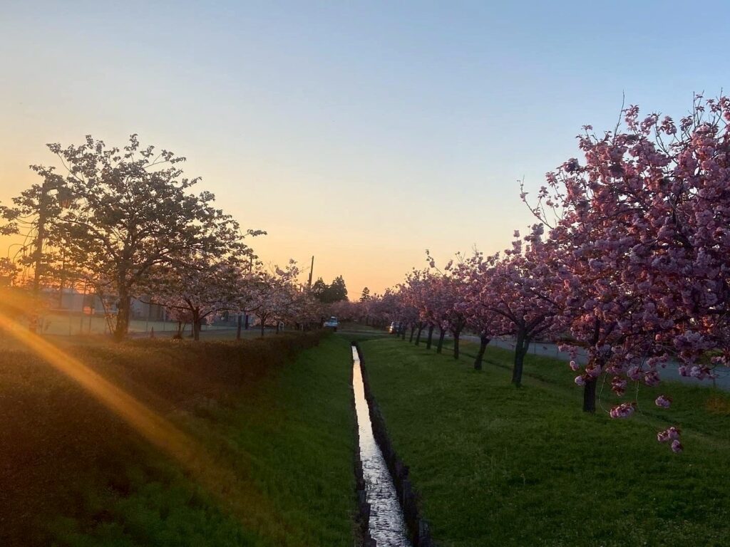 思いつき、ひとり旅。私の春を始めるために、秋田を歩く。 写真と文:祷キララ (女優) #1 思いつき、ひとり旅。私の春を始めるために、秋田を歩く。 写真と文:祷キララ (女優) #1