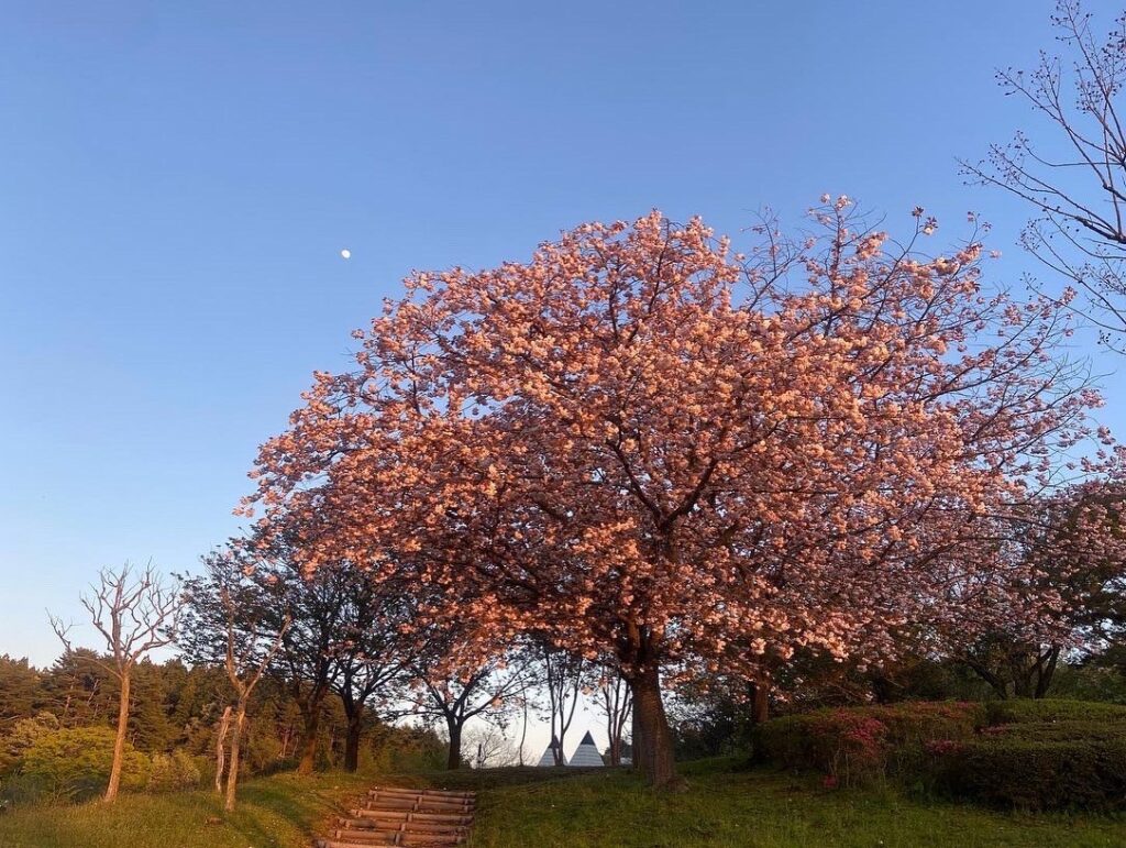 429588E4-0B39-473F-B010-7A8CB3BF9356 429588E4-0B39-473F-B010-7A8CB3BF9356