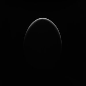 1-egg artwork9-2023 | egg artwork9-2023