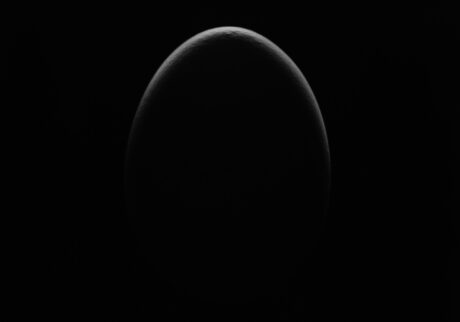 1-egg artwork9-2023 | egg artwork9-2023