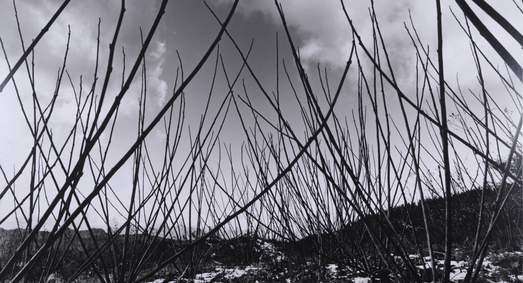 3-土に還る artwork5-2026