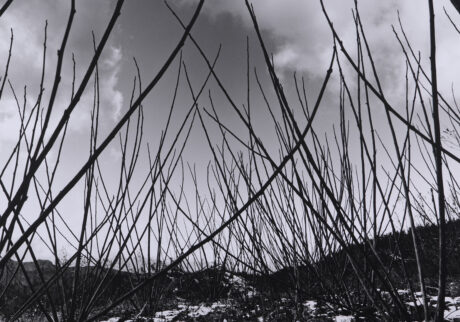 3-土に還る artwork5-2026 | 土に還る artwork5-2026