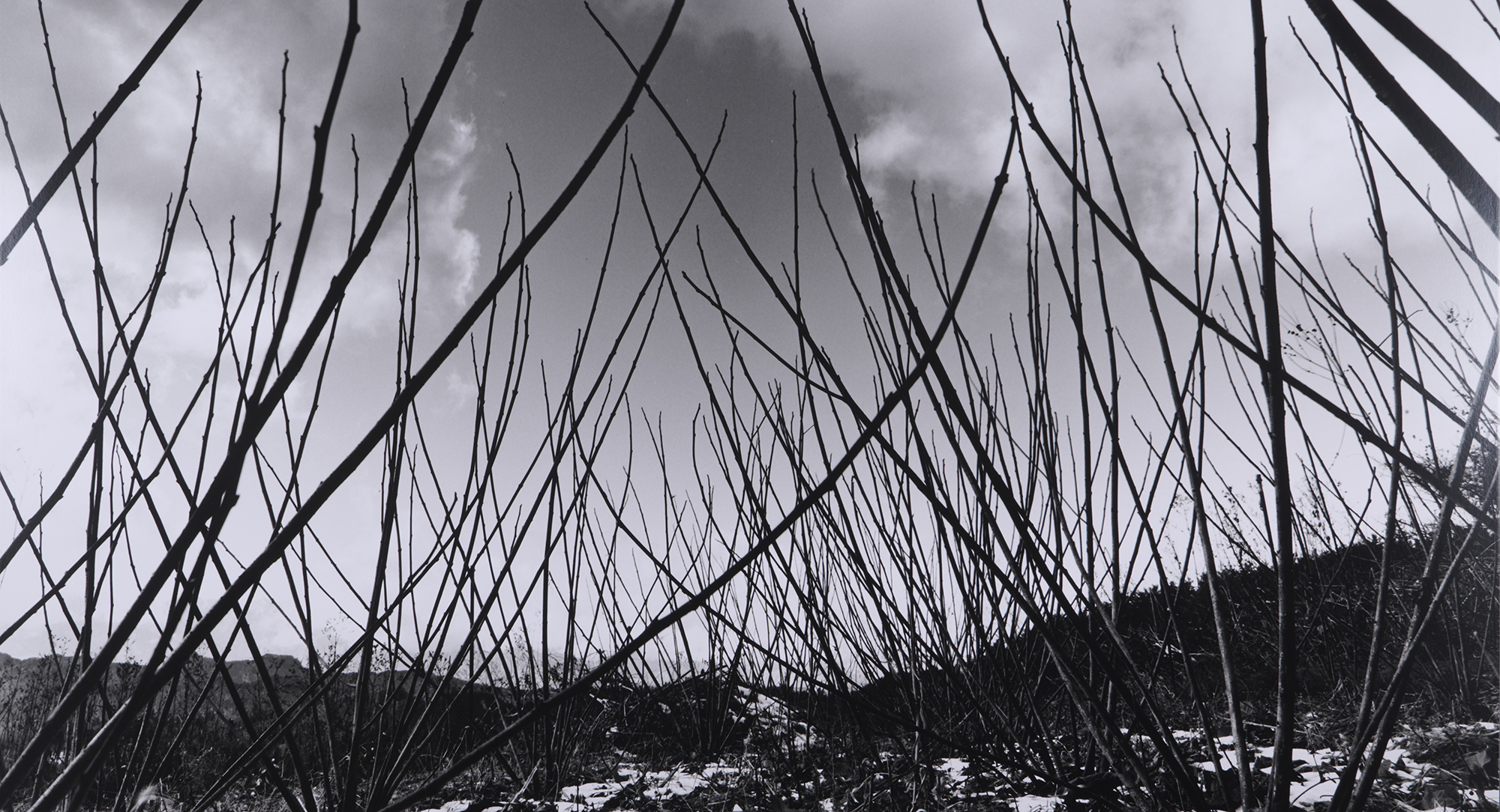 今月の写真家、今日の一枚。村越 慧 vol.3