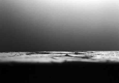 13-yokan-2024 | yokan-2024