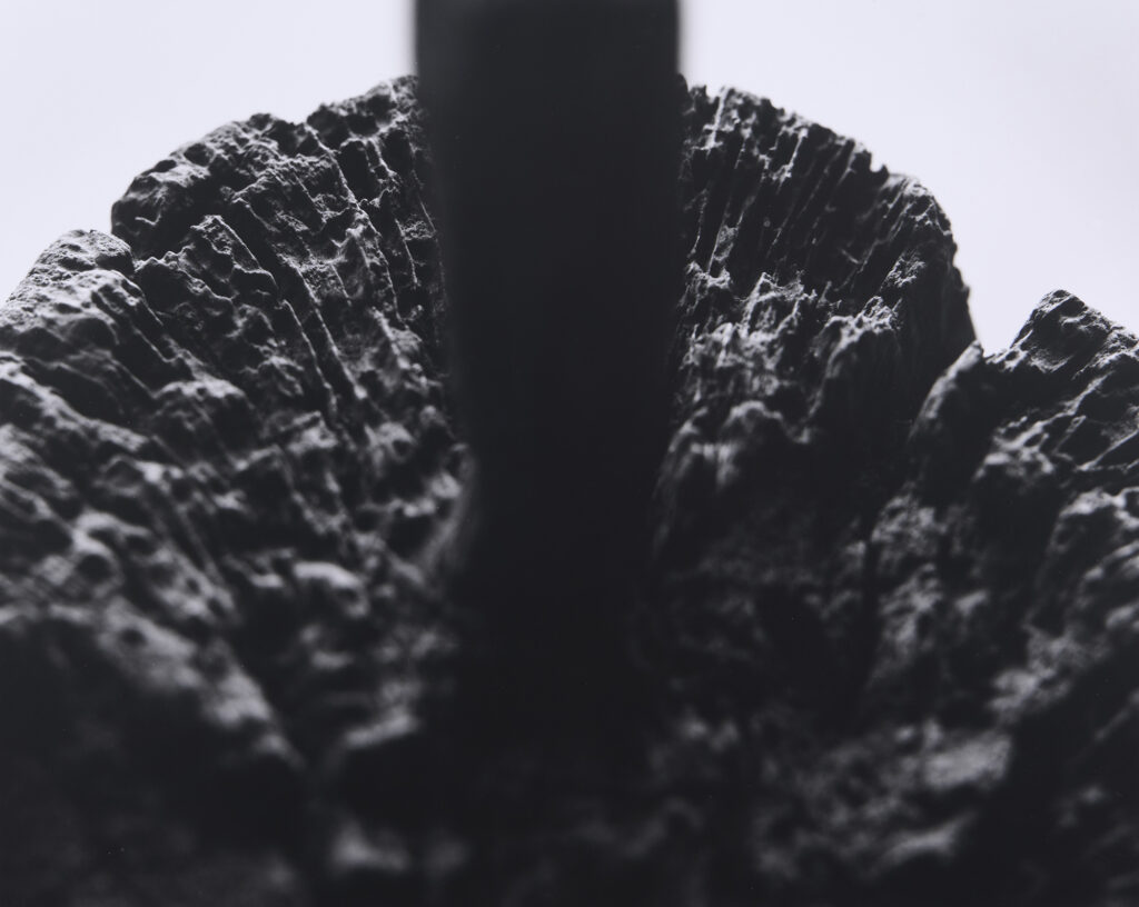 15-土に還る artwork12-2026 (砧の杵:古道具時余利所蔵品) | 土に還る artwork12-2026 (砧の杵:古道具時余利所蔵品) 15-土に還る artwork12-2026 (砧の杵:古道具時余利所蔵品)