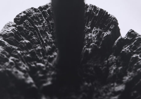 15-土に還る artwork12-2026 (砧の杵：古道具時余利所蔵品) | 土に還る artwork12-2026 (砧の杵：古道具時余利所蔵品)