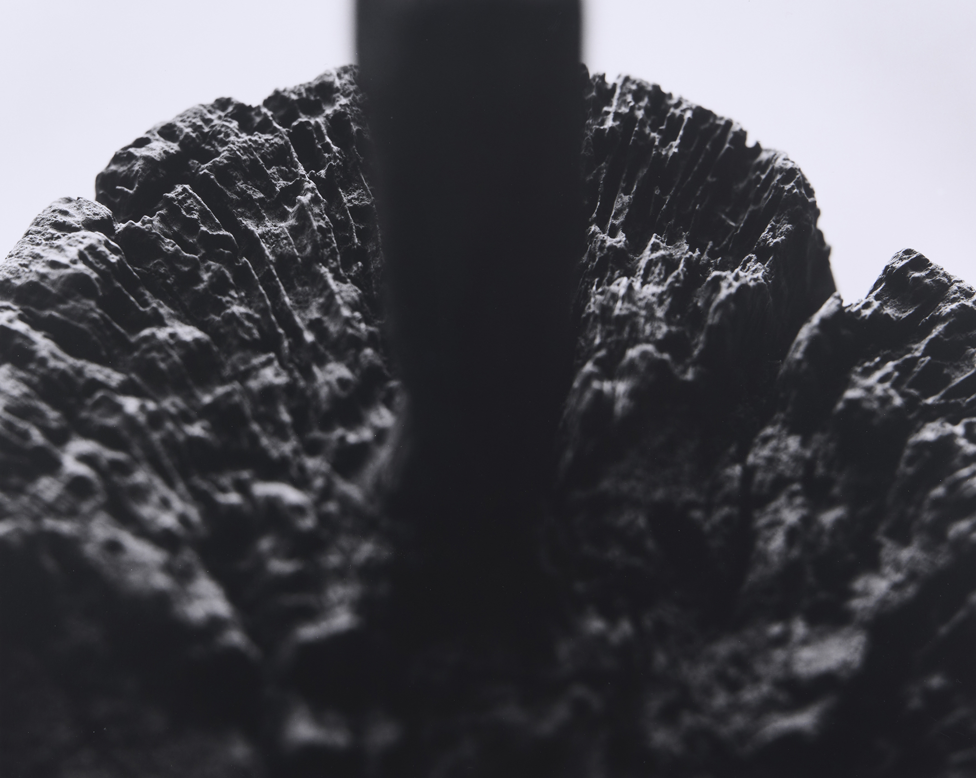 今月の写真家、今日の一枚。村越 慧 vol.15