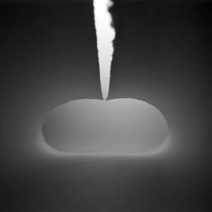 19-washi-2025 | washi-2025