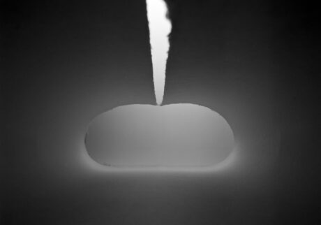 19-washi-2025 | washi-2025