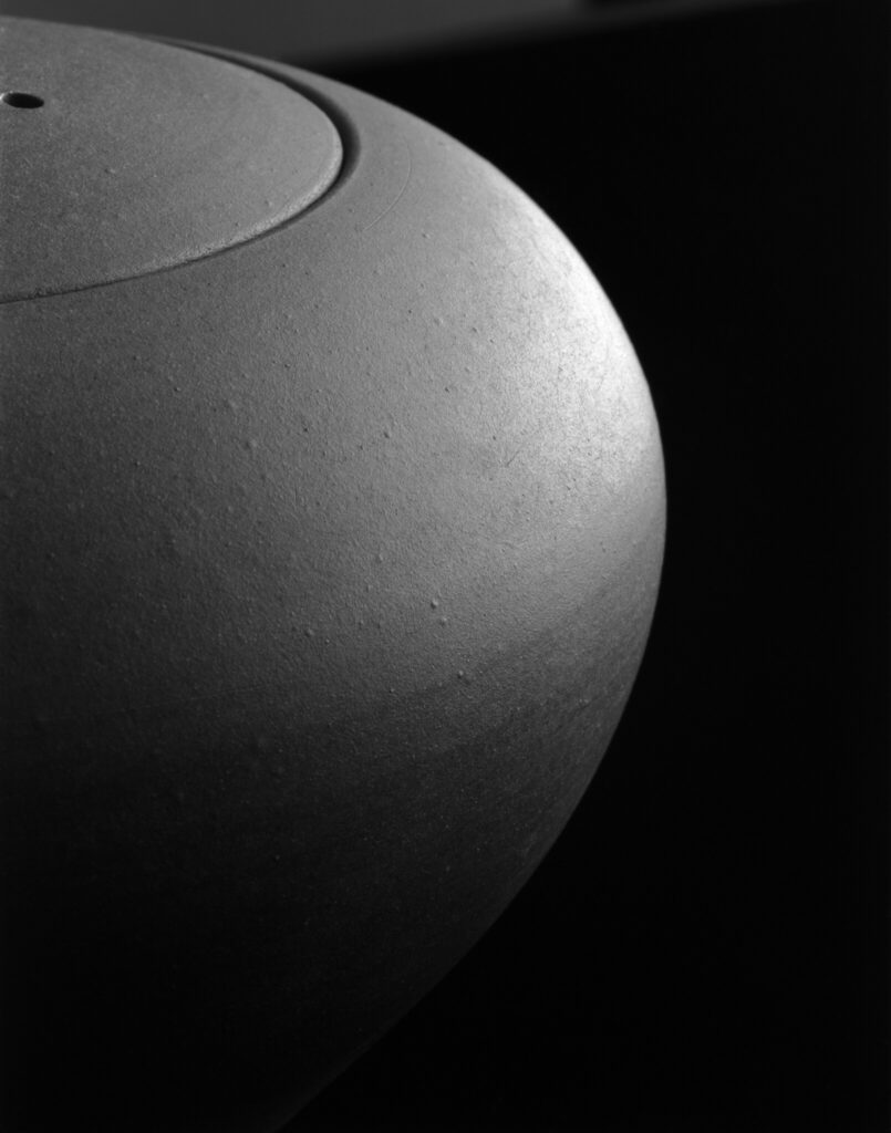 20-pot by 若杉集-2024