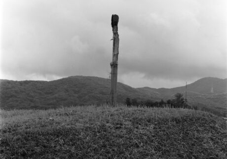 23-landscape Mashiko-2025 | landscape Mashiko-2025