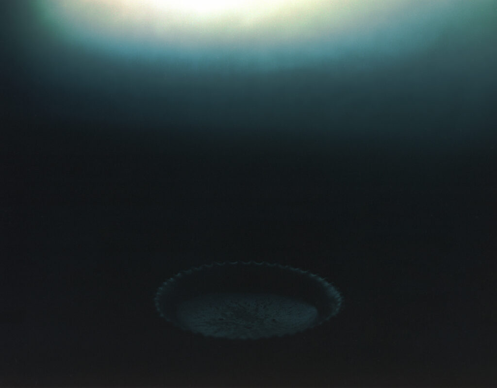 24-old plate (古道具時余利所蔵品) 