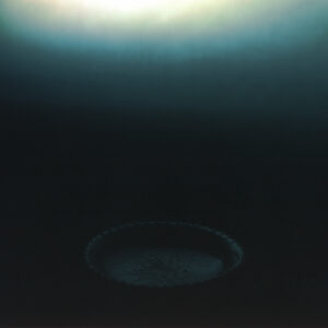 24-old plate (古道具時余利所蔵品) | old plate (古道具時余利所蔵品)