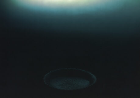 24-old plate (古道具時余利所蔵品) | old plate (古道具時余利所蔵品)