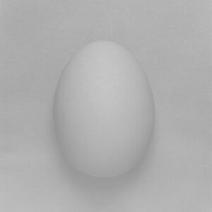 30-egg artwork1-2023 | egg artwork1-2023
