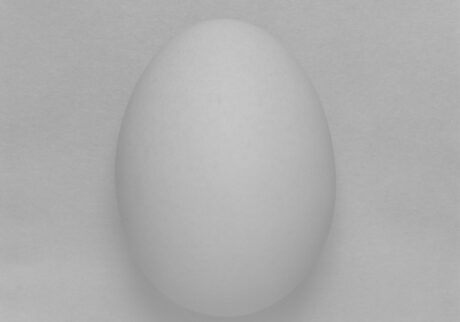 30-egg artwork1-2023 | egg artwork1-2023