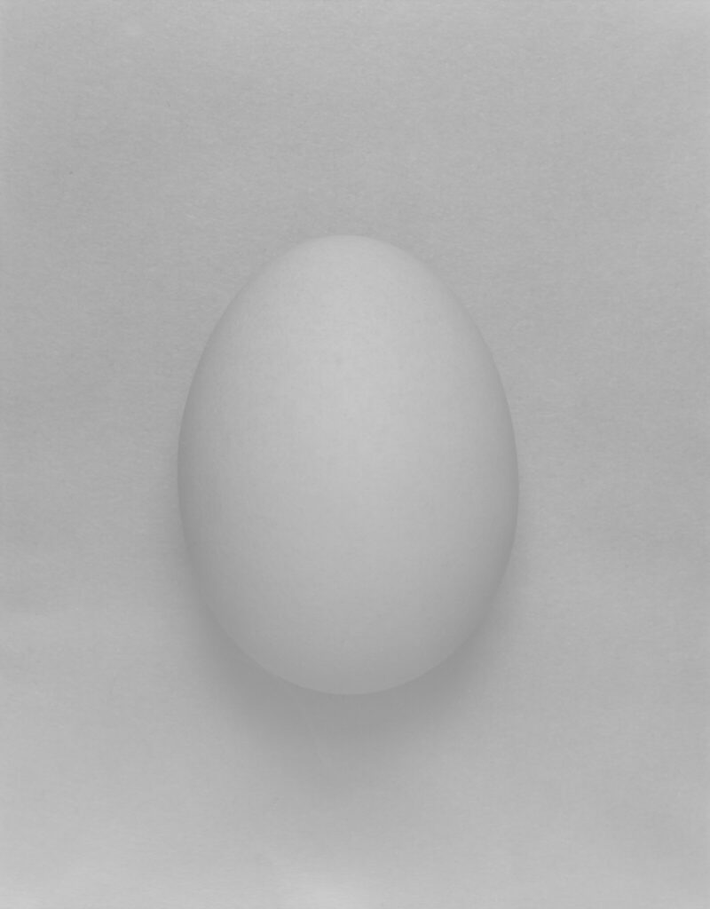30-egg artwork1-2023