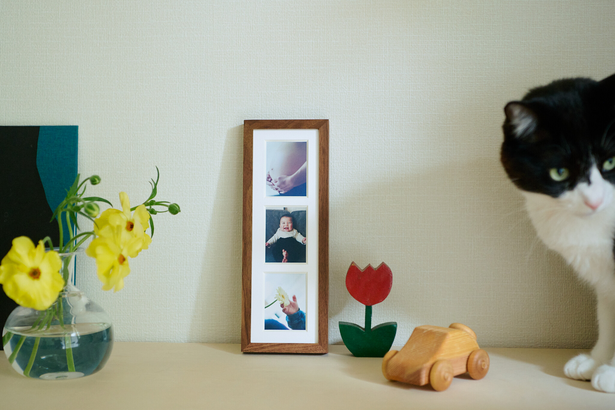 〈富士フイルム〉の「＋precious」を選んだら、愛おしい日常がアートピースのように。