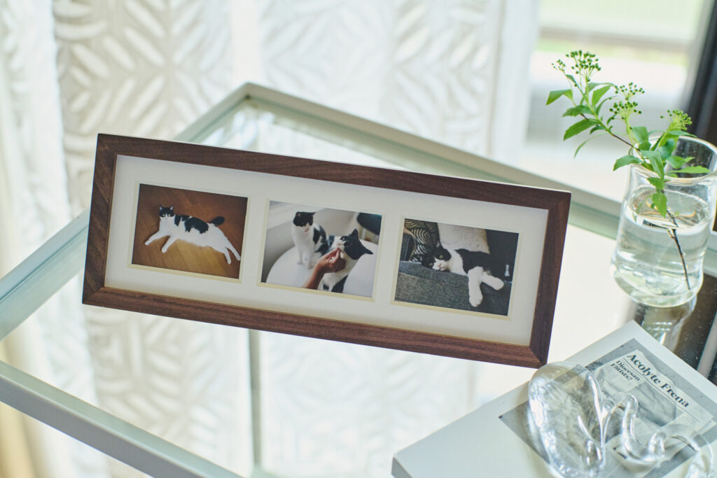 「frame #003」をヨコ向きで。「自宅でくつろぐきょうだい猫のイチとキョウの姿を、お気に入りのガラスのオブジェを並べたワゴンの上に。2匹の写真を飾るのは、実は初めて。ガラスとフレームのウォールナットの相性が想像以上によかったです。このサイズ感なら、いろいろなコーナーに飾ることができそうです」 (上澤さん) 富士フイルム +precious | 「frame #003」をヨコ向きで。「自宅でくつろぐきょうだい猫のイチとキョウの姿を、お気に入りのガラスのオブジェを並べたワゴンの上に。2匹の写真を飾るのは、実は初めて。ガラスとフレームのウォールナットの相性が想像以上によかったです。このサイズ感なら、いろいろなコーナーに飾ることができそうです」 (上澤さん) 「frame #003」をヨコ向きで。「自宅でくつろぐきょうだい猫のイチとキョウの姿を、お気に入りのガラスのオブジェを並べたワゴンの上に。2匹の写真を飾るのは、実は初めて。ガラスとフレームのウォールナットの相性が想像以上によかったです。このサイズ感なら、いろいろなコーナーに飾ることができそうです」 (上澤さん) 富士フイルム +precious | 「frame #003」をヨコ向きで。「自宅でくつろぐきょうだい猫のイチとキョウの姿を、お気に入りのガラスのオブジェを並べたワゴンの上に。2匹の写真を飾るのは、実は初めて。ガラスとフレームのウォールナットの相性が想像以上によかったです。このサイズ感なら、いろいろなコーナーに飾ることができそうです」 (上澤さん)