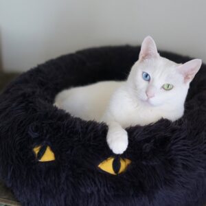 白ねこ in 黒ねこ、そして突っ伏して寝る。雑貨コーディネーター・オモムロニ。のねことの暮らし #3