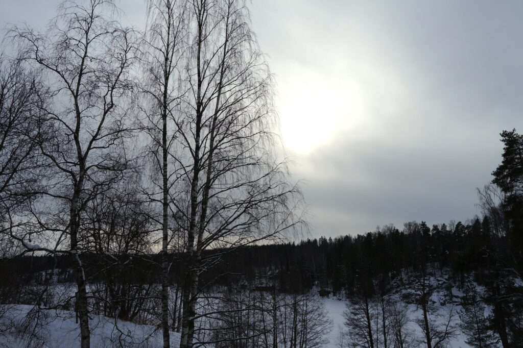 ヌークシオ国立公園の中で開催された「インターナショナル・プレスデー2026」。