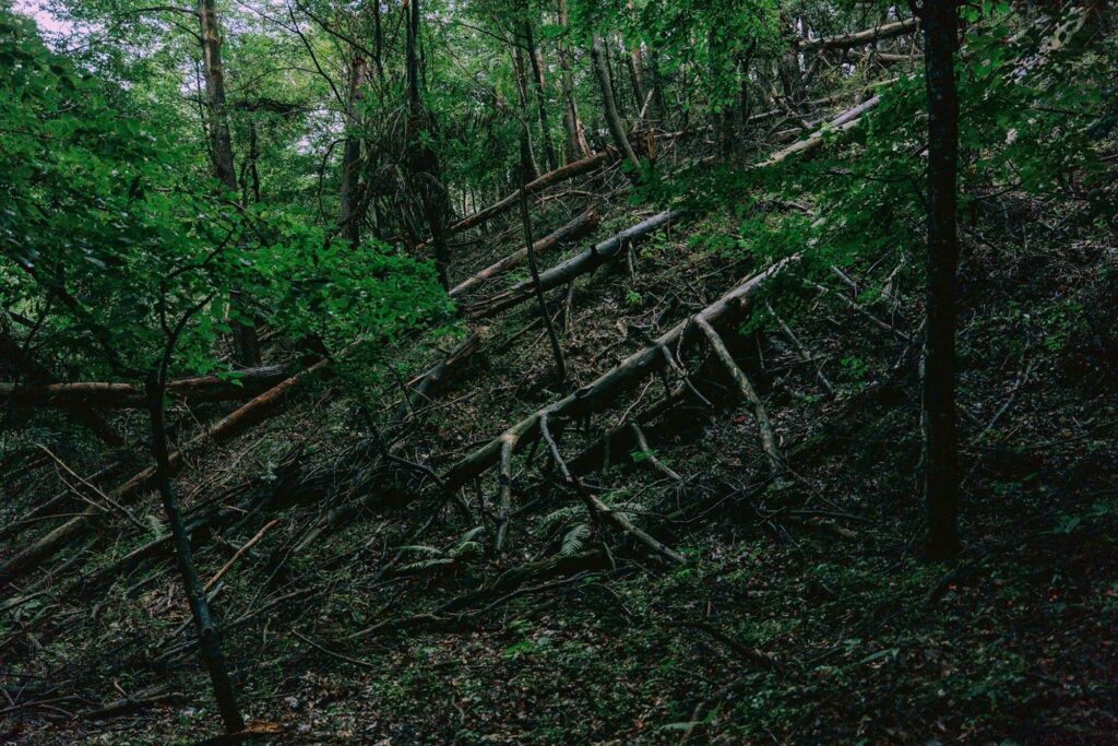 長野の山奥で、土を蹴る。私を踊る。思いつき、ひとり旅3。写真と文：祷 キララ (女優) #3 | photo : Takeshi Hirabayashi